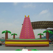 outdoor inflatable climbing wall